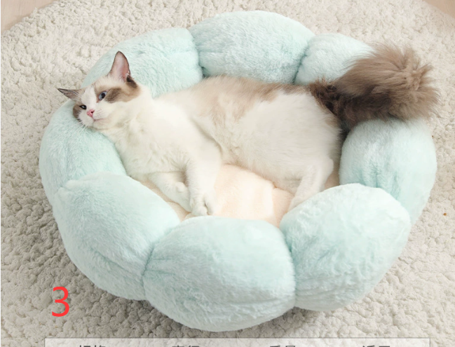 Calming Orthopedic Indoor Cat Bed